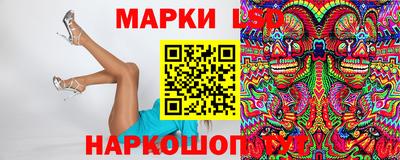 прущие грибы Нальчик