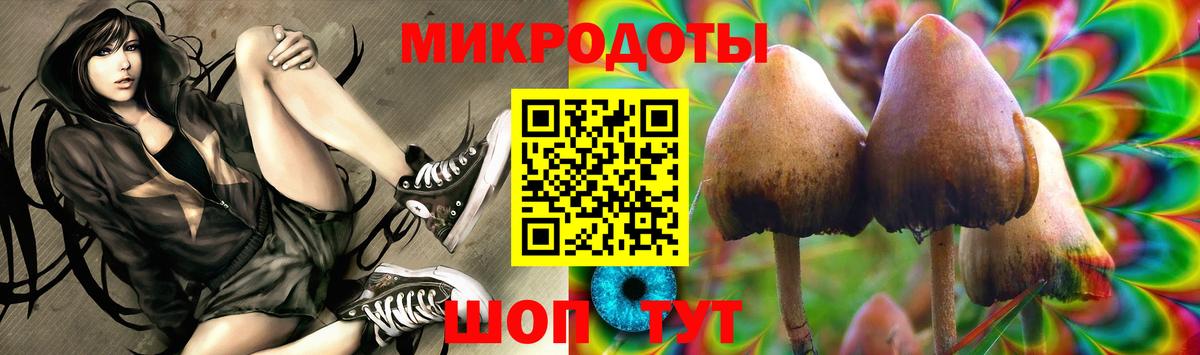 Сегежа  Псилоцибиновые грибы Magic Shrooms  Псилоцибиновые грибы Magic Shrooms  Вход с VPN 